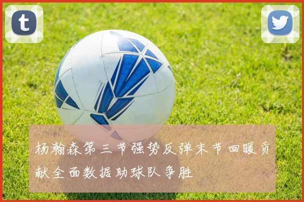杨瀚森第三节强势反弹末节回暖贡献全面数据助球队争胜